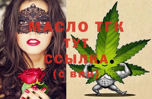 молекула духа Верхний Тагил