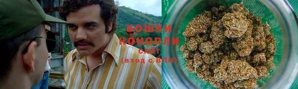 молекула духа Верхний Тагил