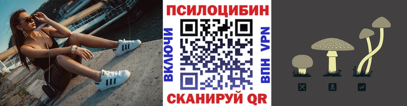 купить  сайты  Грязи  Галлюциногенные грибы Cubensis 